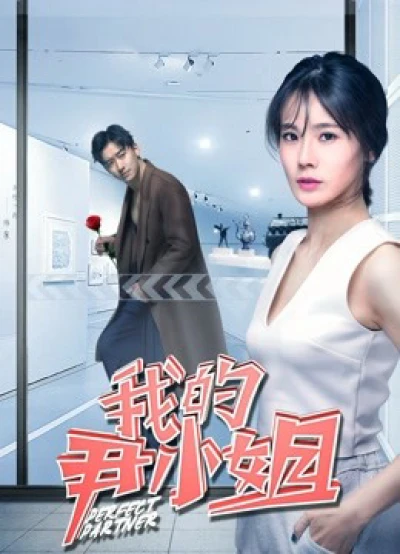 Cộng sự hoàn hảo (Perfect Partner) [2019]