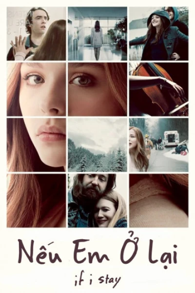 Nếu Em Ở Lại (If I Stay) [2014]