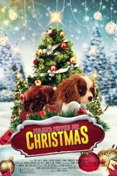 Quà Giáng Sinh Bất Ngờ (Project: Puppies for Christmas) [2019]