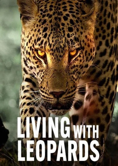 Sống cùng báo hoa (Living with Leopards) [2024]